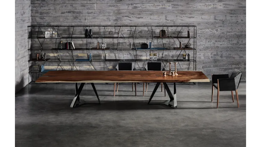 Libreria Lexington di Bontempi