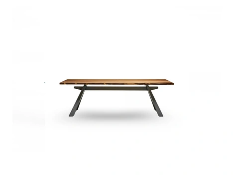 Tavolo Zeus in Rovere di Midj